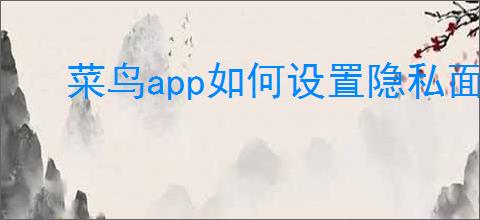 菜鸟app如何设置隐私面单