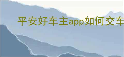 平安好车主app如何交车船税