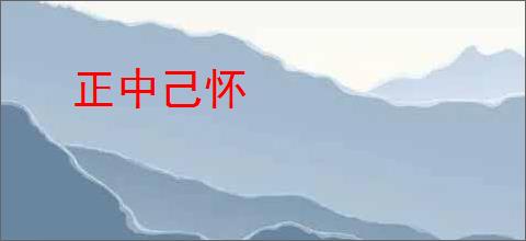 正中己怀